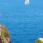 Iris Vlorë
