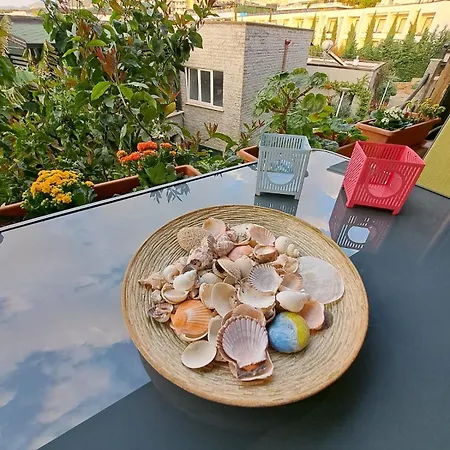 Appartement Iris *